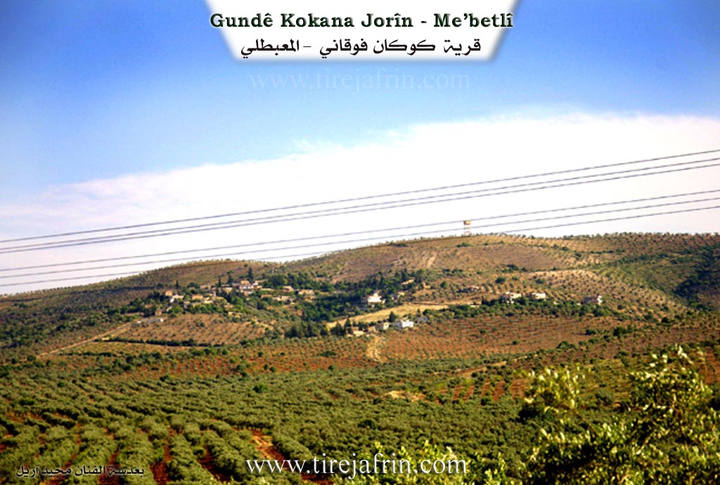 Photo of Kokanê Jorin